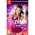 Nintendo Zumba Burn It Up!