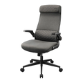 Cougar Stryder Ergonomic Gray Gaming Chair CGR-STD-GRB