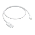 Apple Lightning to USB Cable (0.5 m)
