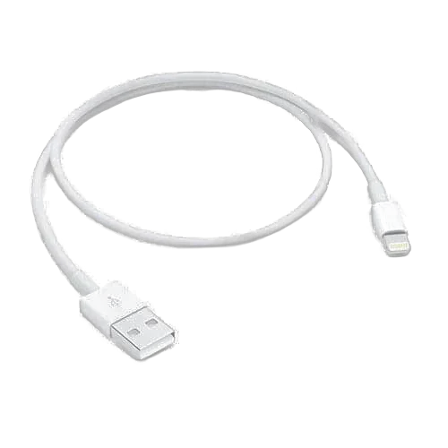 Apple Lightning to USB Cable (0.5 m)