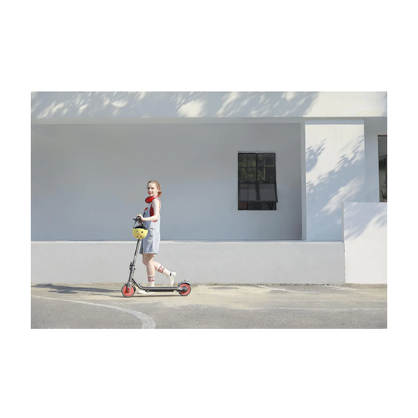 Segway Ninebot eKickScooter C20 for Kids