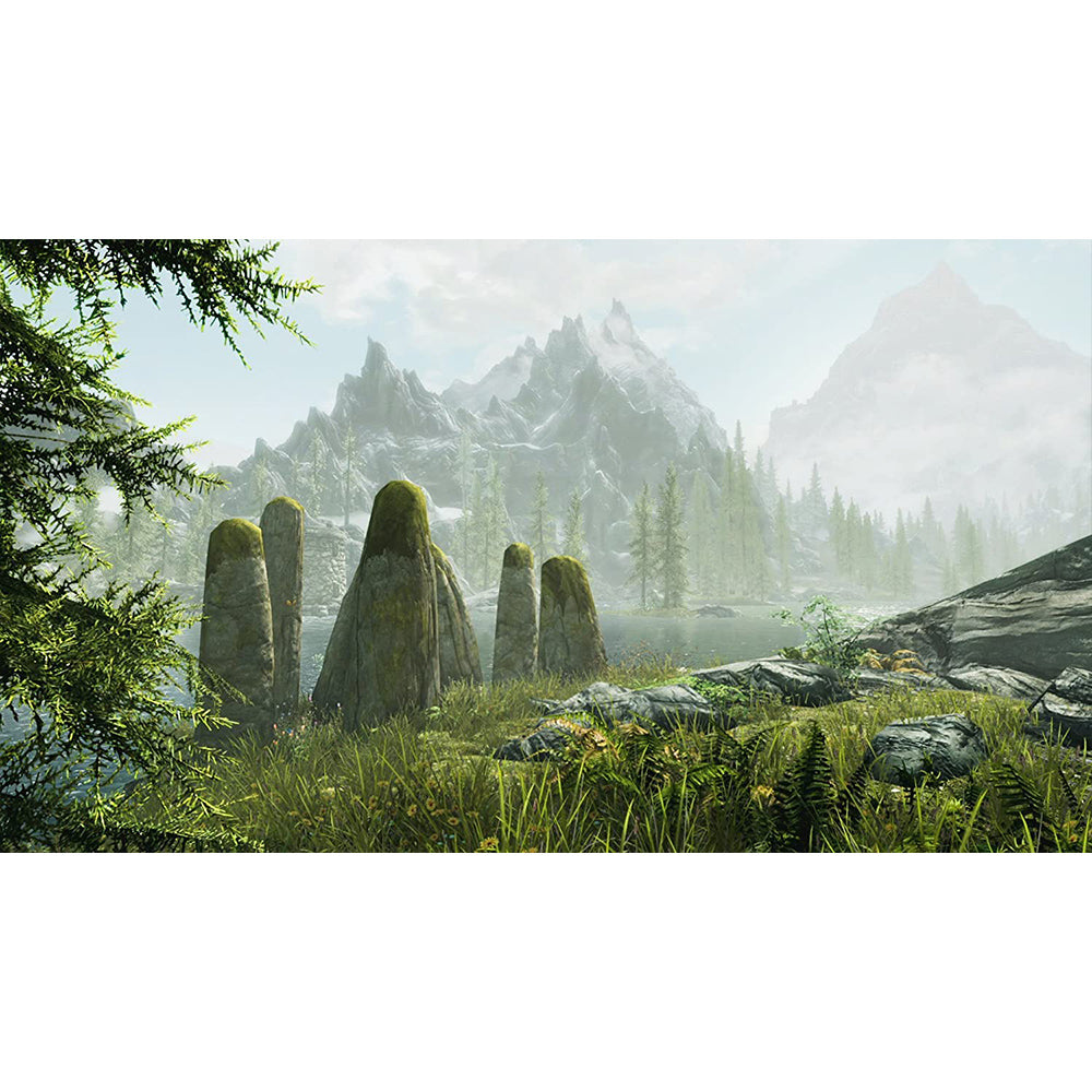 Nintendo The Elder Scrolls V: Skyrim