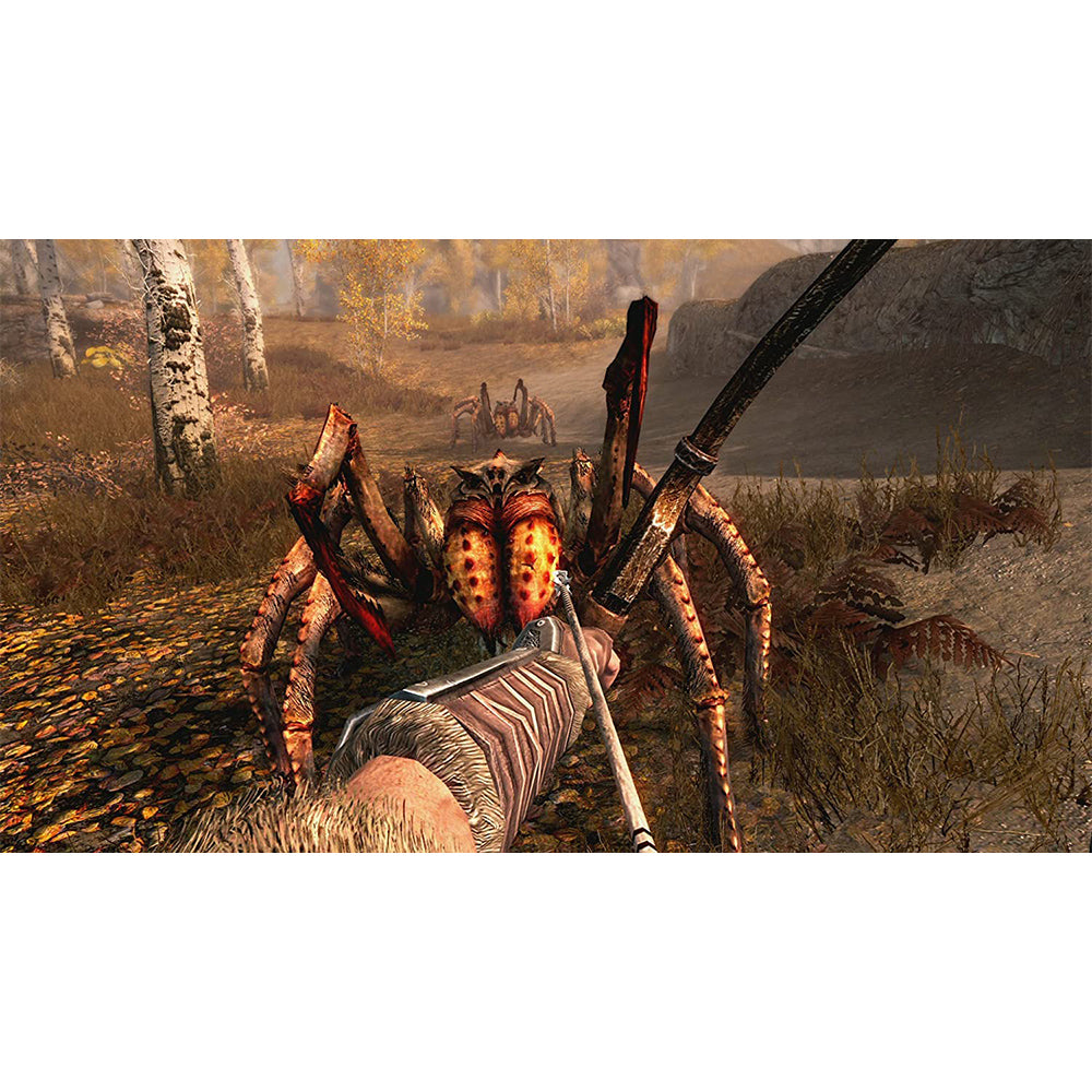 Nintendo The Elder Scrolls V: Skyrim