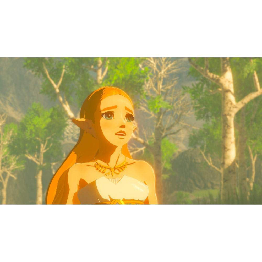 Nintendo The Legend of Zelda: Breath of the Wild - NS