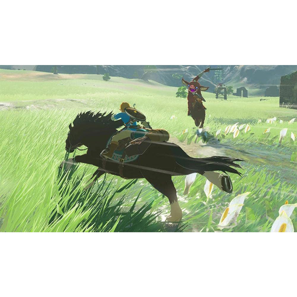 Nintendo The Legend of Zelda: Breath of the Wild - NS