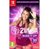 Nintendo Zumba Burn It Up!